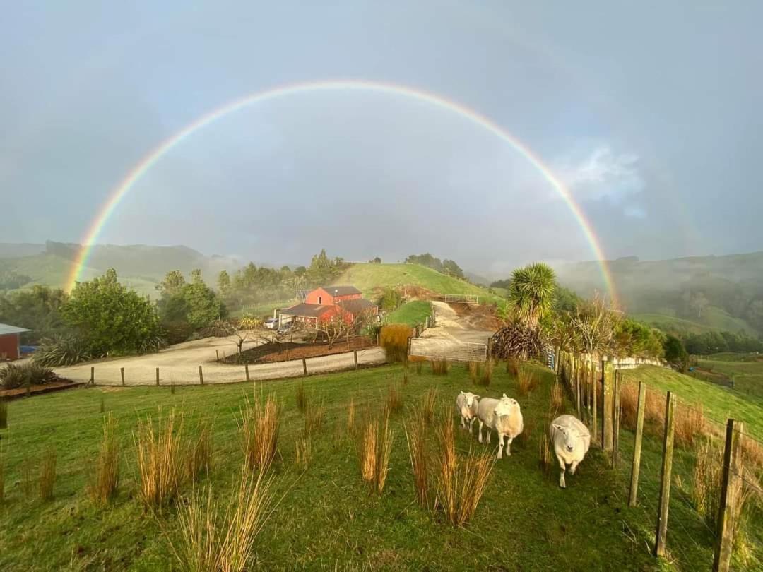 Nadarra Hideaway Bed and Breakfast Otorohanga Esterno foto